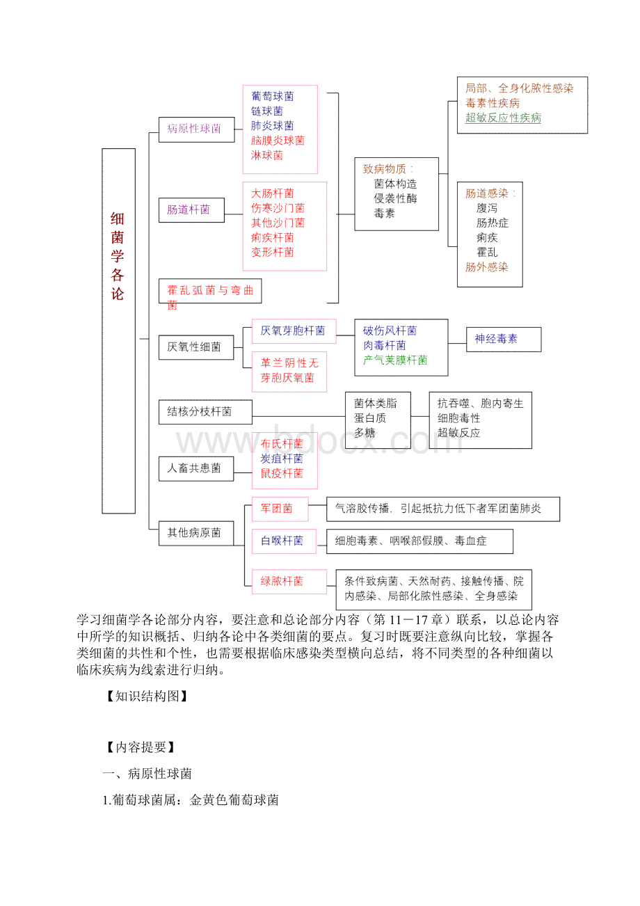 医学微生物学细菌各论与病毒总论.docx_第2页