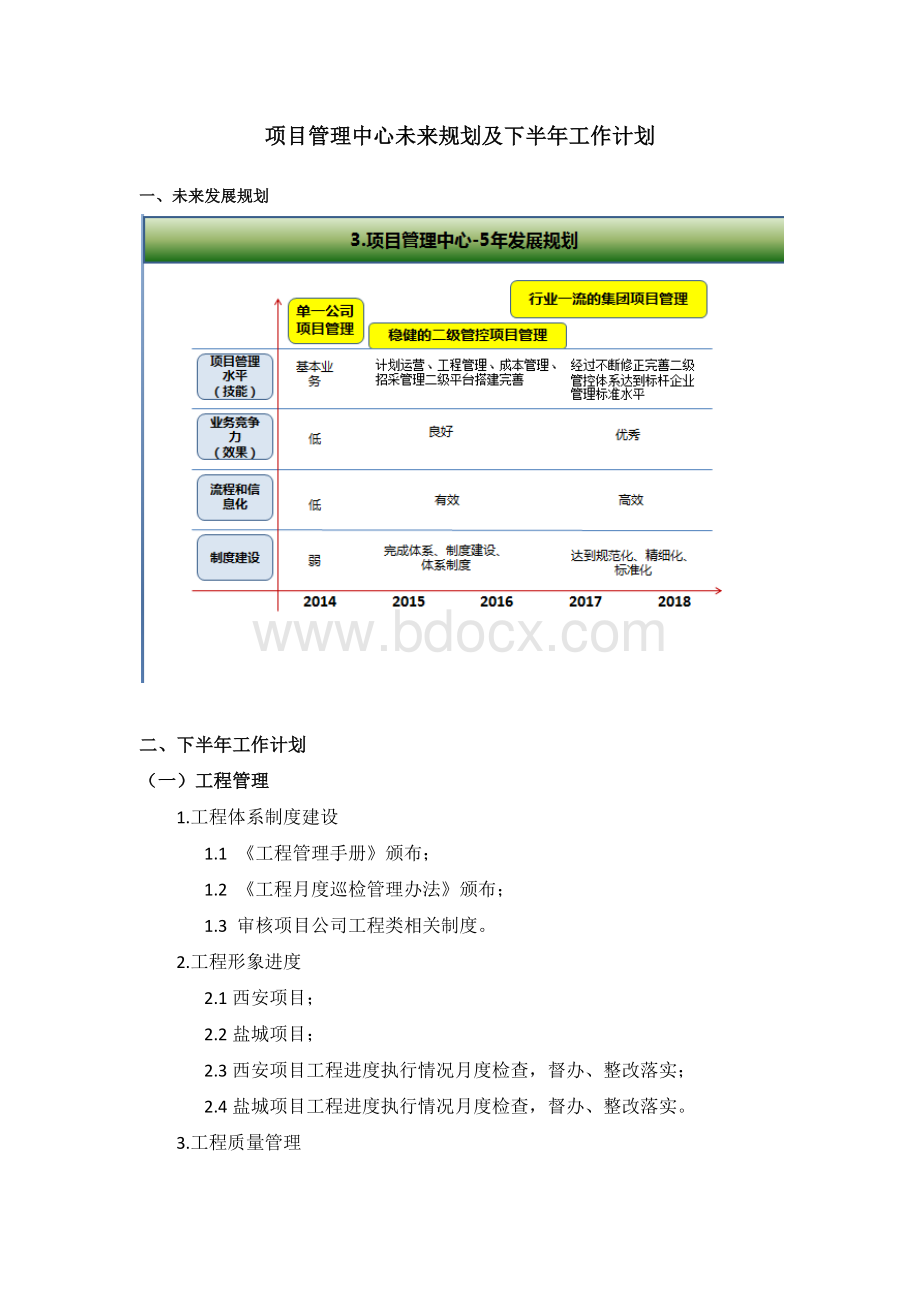 项目管理中心未来规划及下半年工作计划.docx