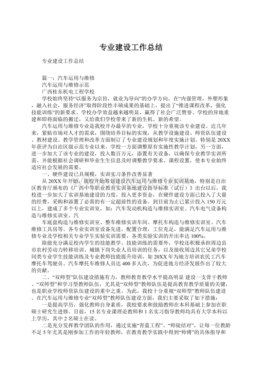 专业建设工作总结Word格式文档下载.docx