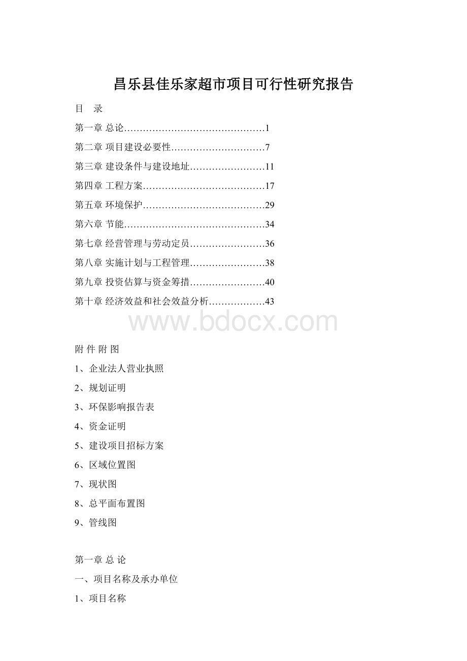 昌乐县佳乐家超市项目可行性研究报告Word格式文档下载.docx_第1页