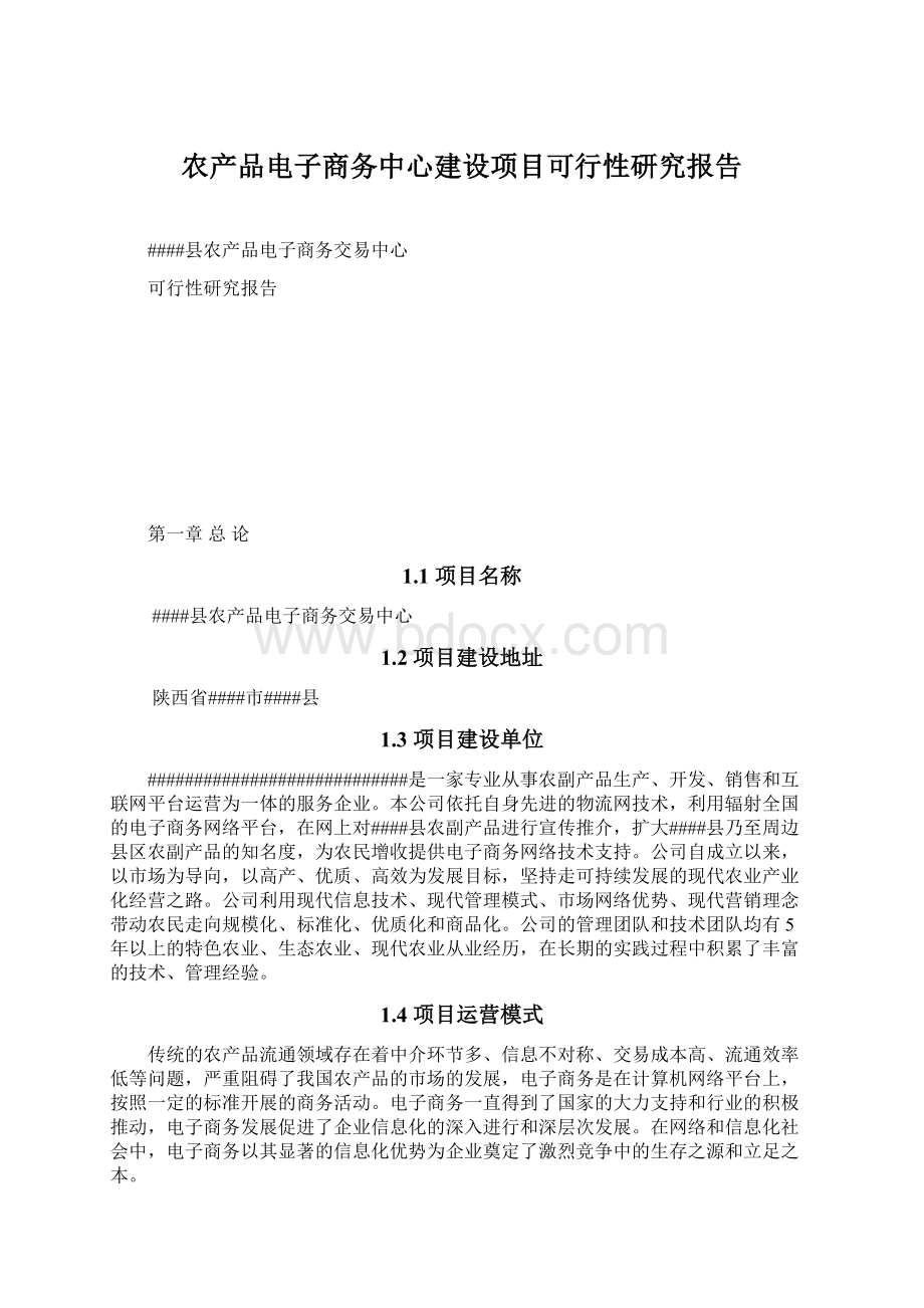 农产品电子商务中心建设项目可行性研究报告Word格式文档下载.docx_第1页