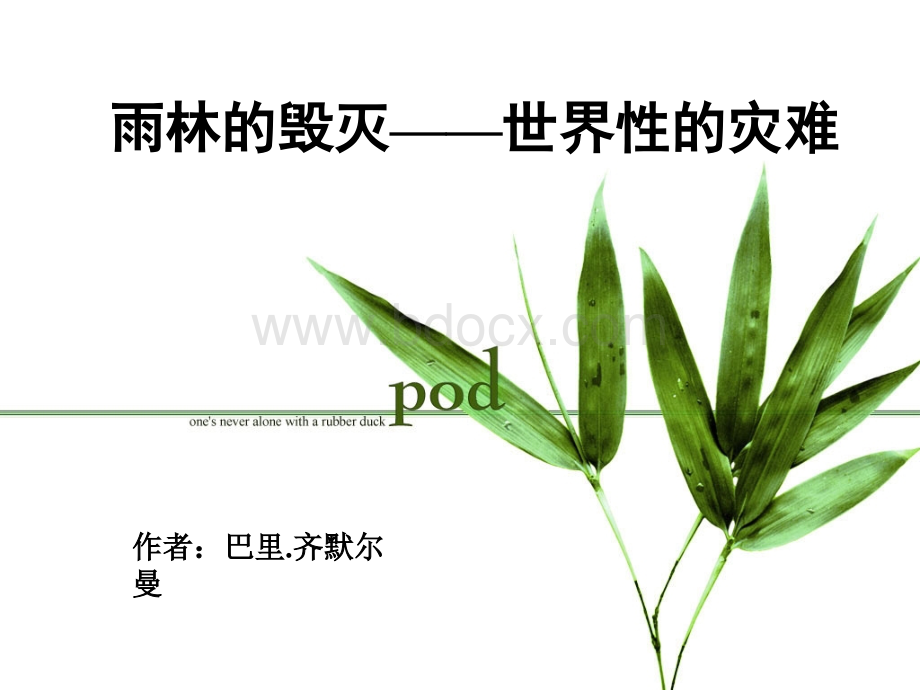 《雨林的毁灭世界性灾难》正式版.ppt_第1页