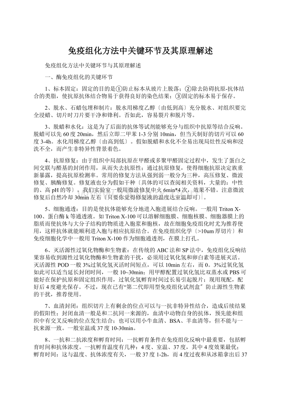 免疫组化方法中关键环节及其原理解述Word格式文档下载.docx