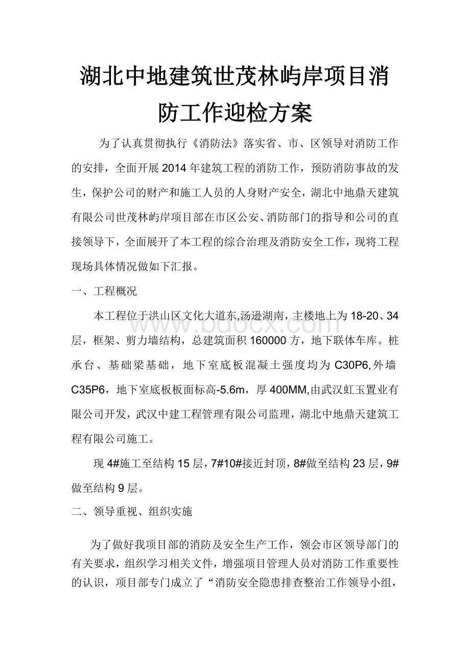 消防迎检方案Word格式文档下载.doc_第1页