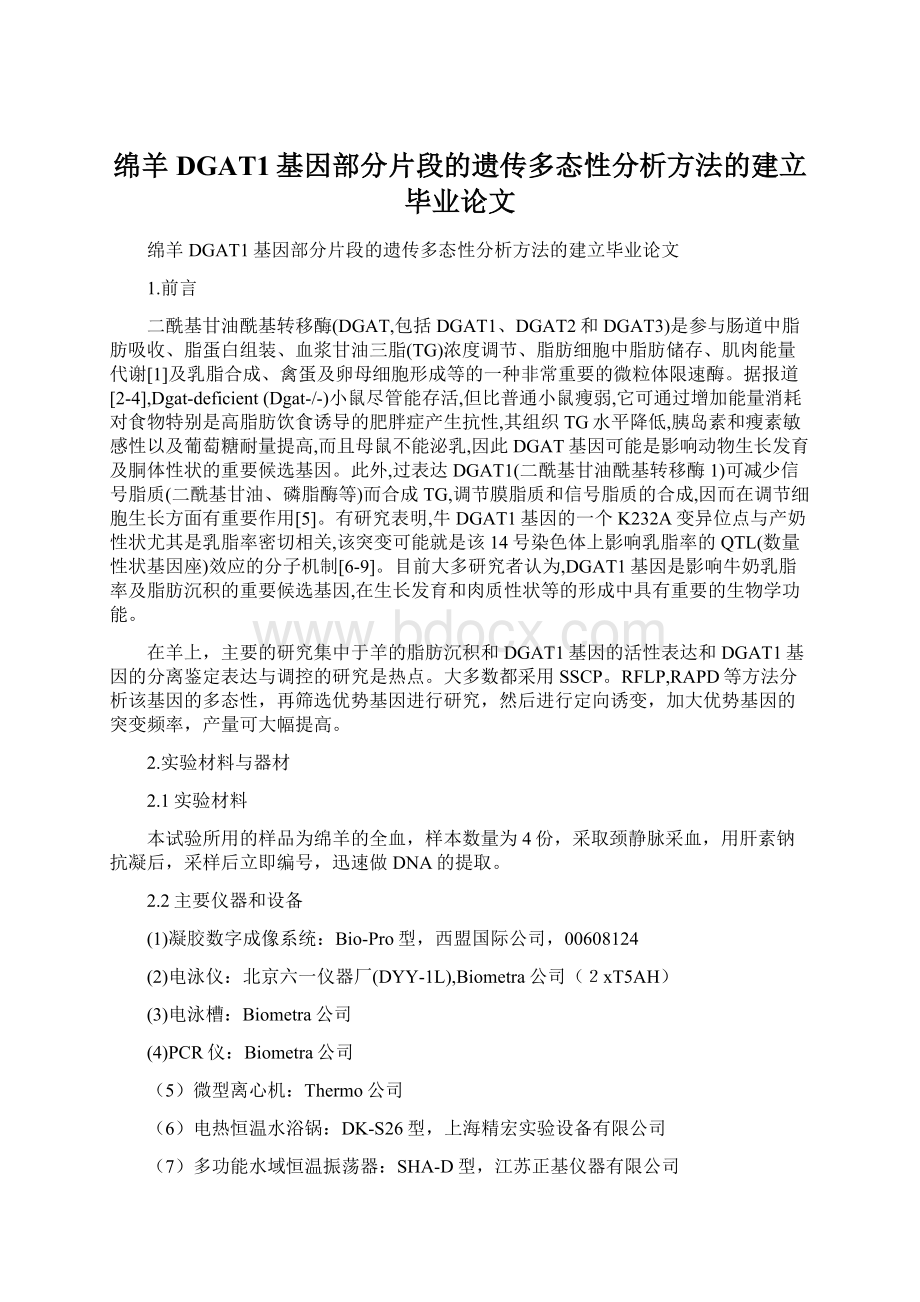 绵羊DGAT1基因部分片段的遗传多态性分析方法的建立毕业论文.docx_第1页