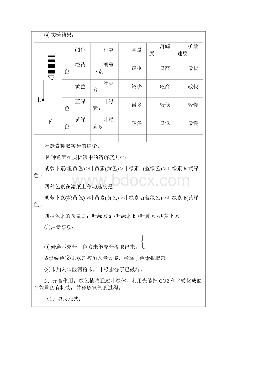 光合作用与呼吸作用复习讲义教师版Word格式.docx_第3页