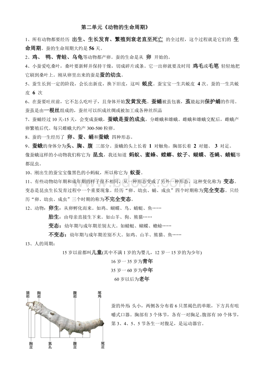 三年级科学下册复习资料.doc_第2页