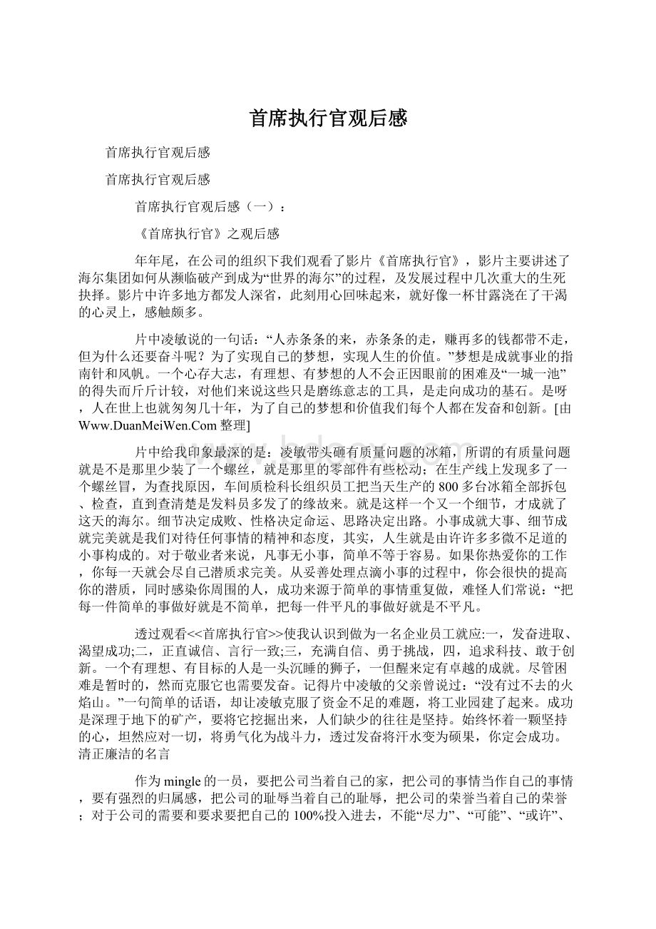 首席执行官观后感Word格式.docx