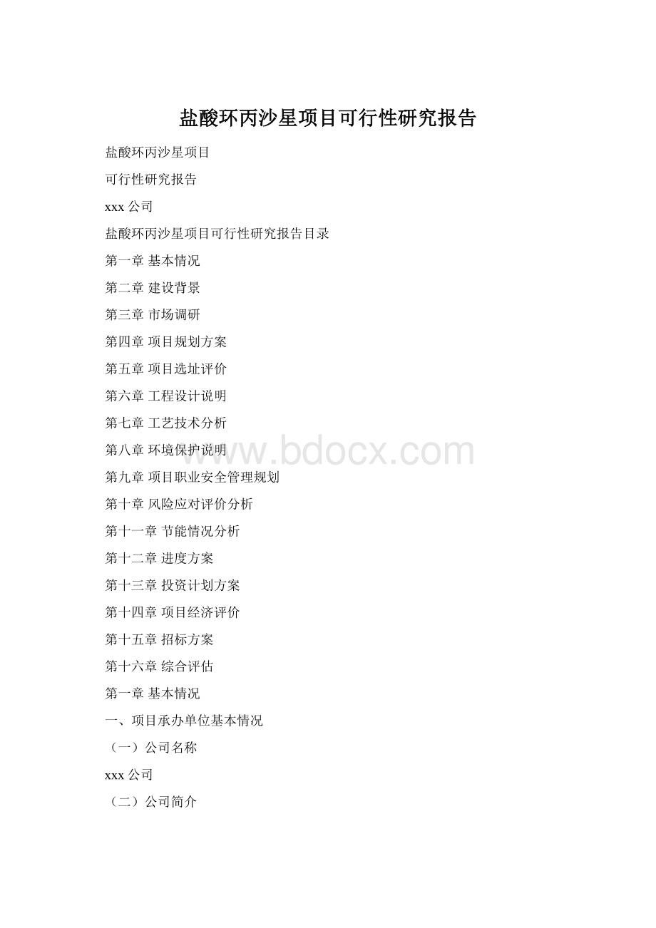 盐酸环丙沙星项目可行性研究报告Word格式.docx