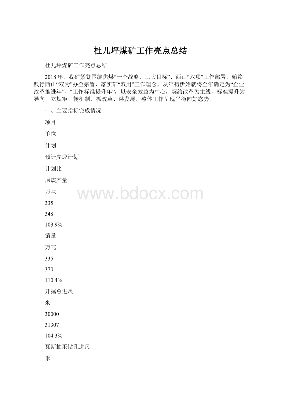 杜儿坪煤矿工作亮点总结.docx