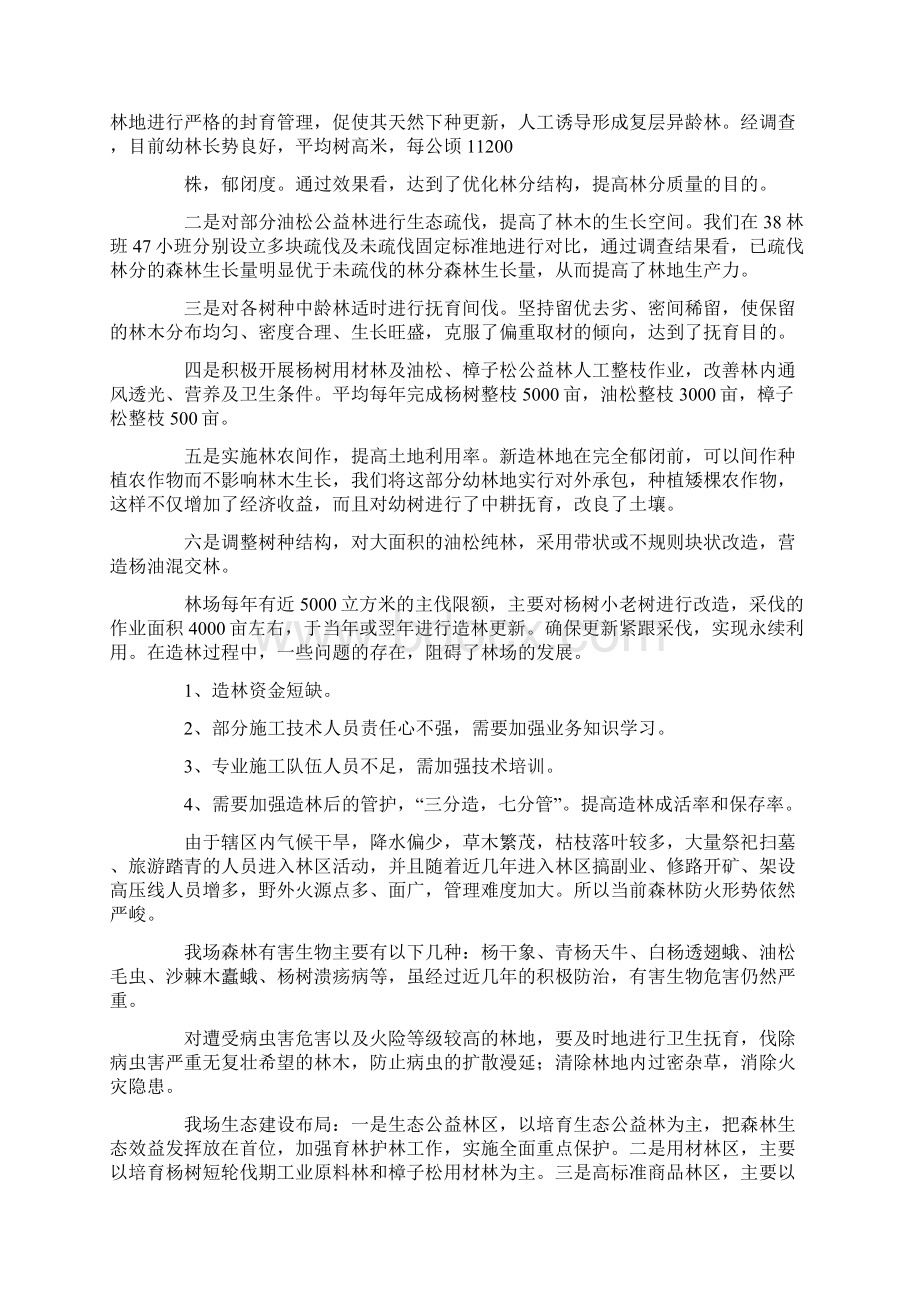 国有林场森林抚育工作总结工作范文Word下载.docx_第2页