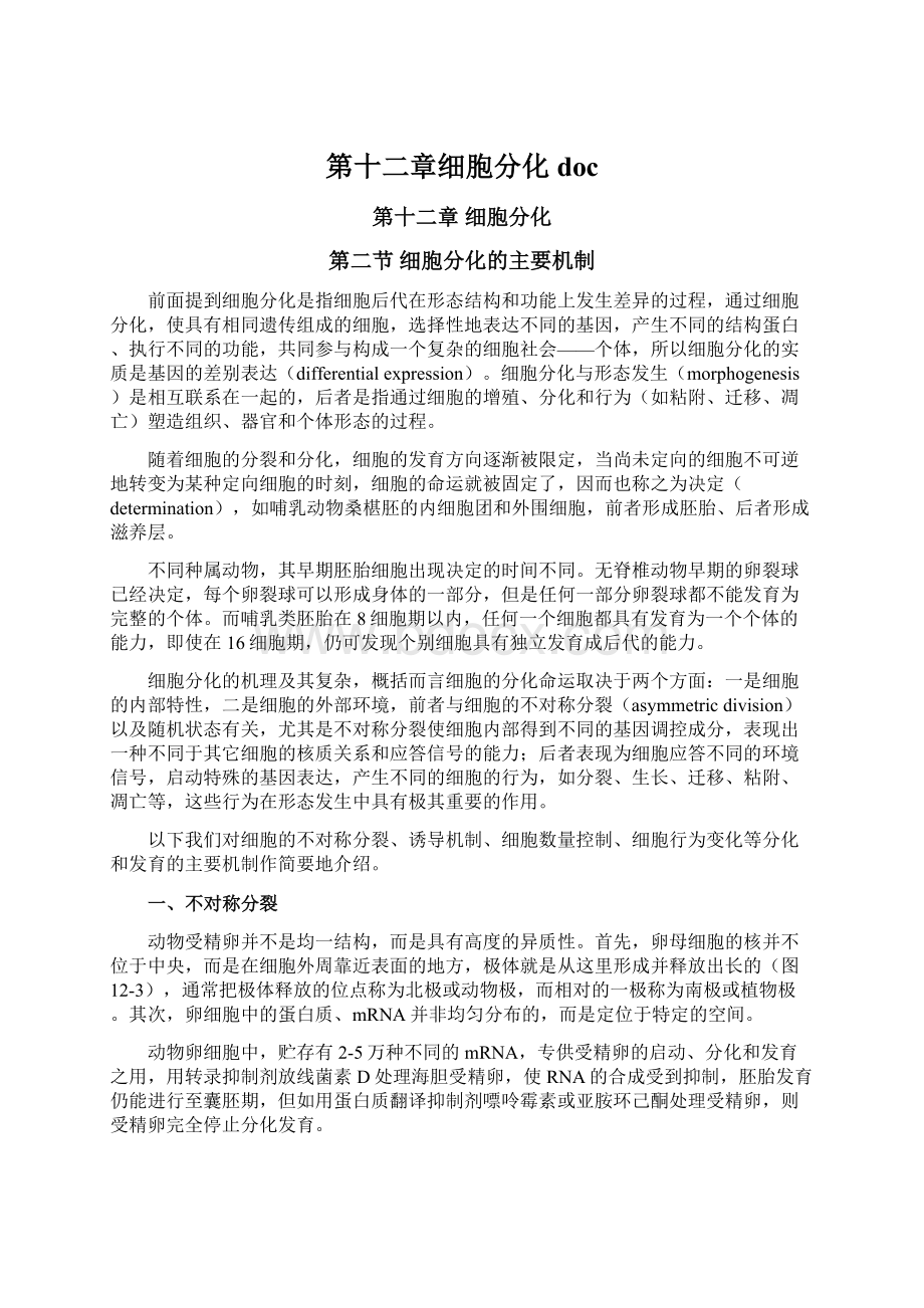 第十二章细胞分化docWord下载.docx