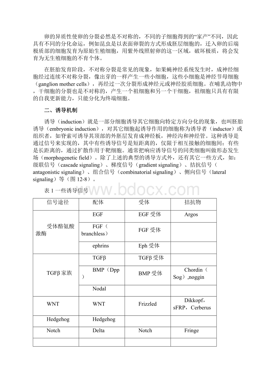 第十二章细胞分化docWord下载.docx_第2页