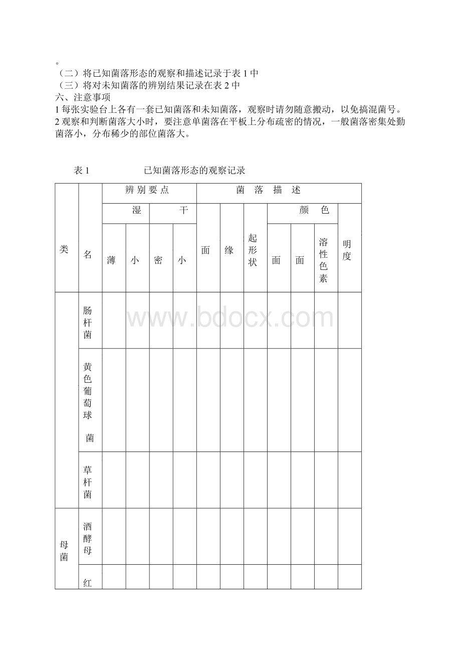 四大类微生物菌落形态的比较和识别.docx_第3页