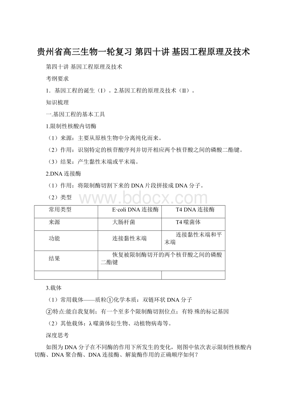 贵州省高三生物一轮复习 第四十讲 基因工程原理及技术文档格式.docx