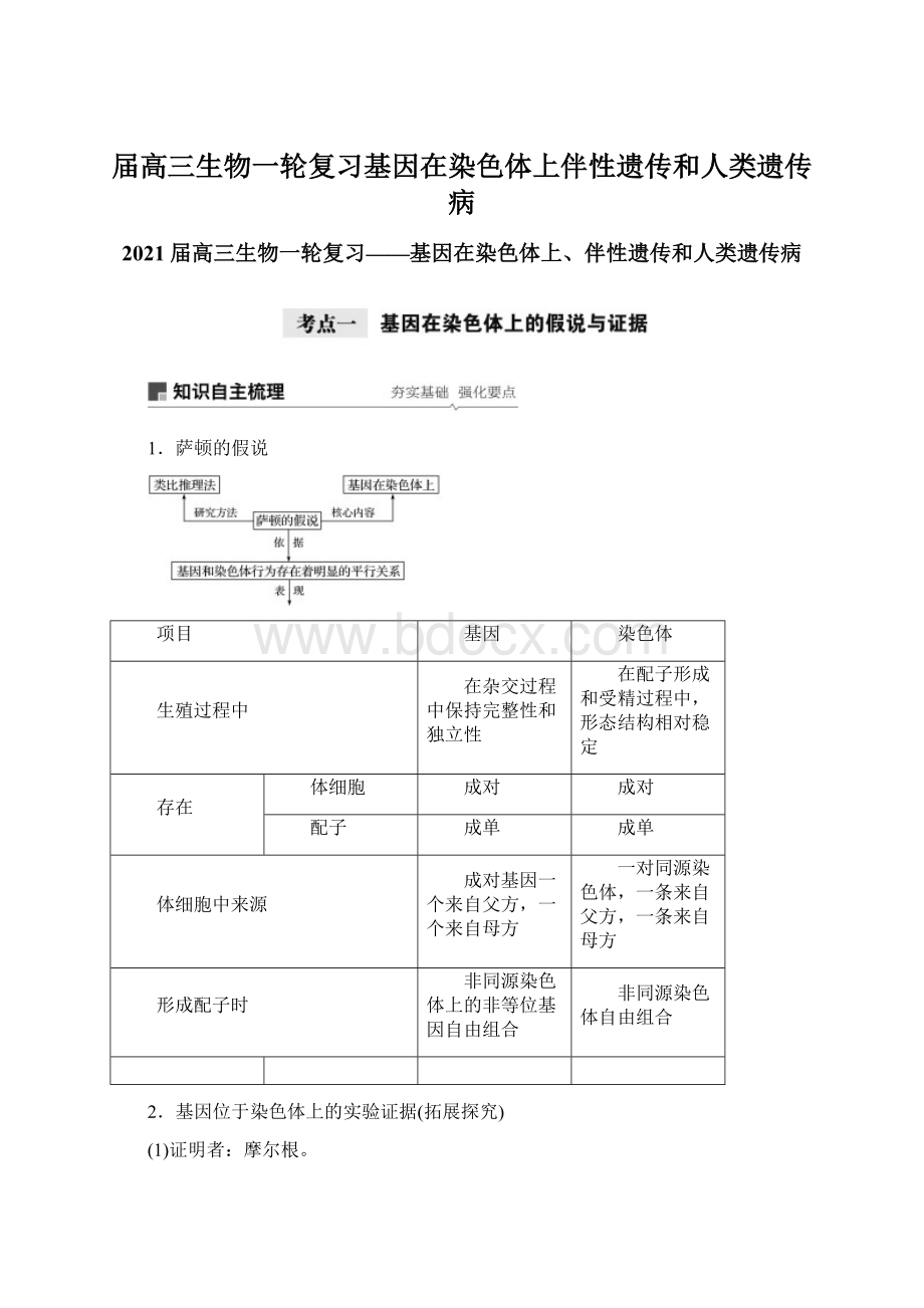 届高三生物一轮复习基因在染色体上伴性遗传和人类遗传病Word文件下载.docx_第1页