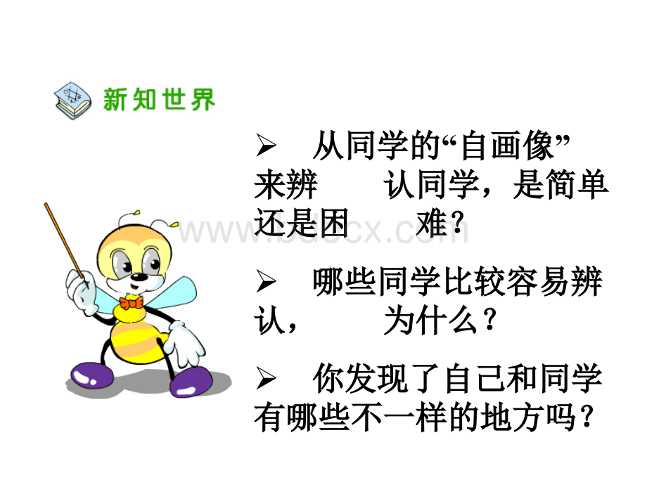 不一样的你我他课件.ppt_第3页