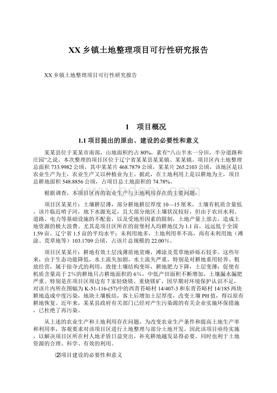 XX乡镇土地整理项目可行性研究报告.docx