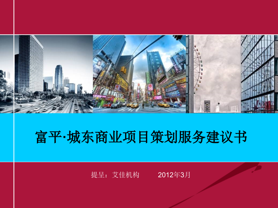 富平项目策划服务建议书PPT资料.ppt_第1页