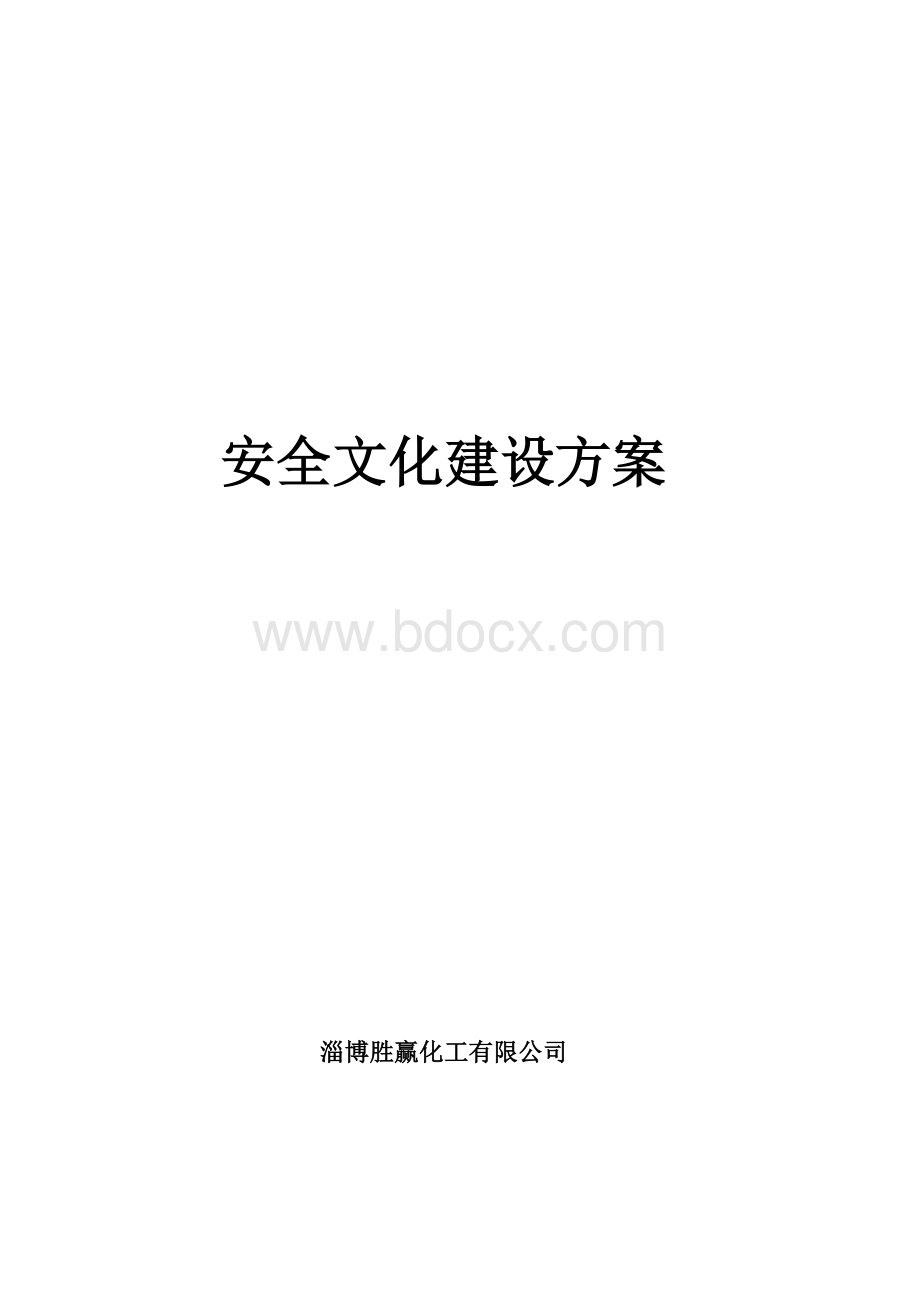 安全文化建设方案文档格式.doc