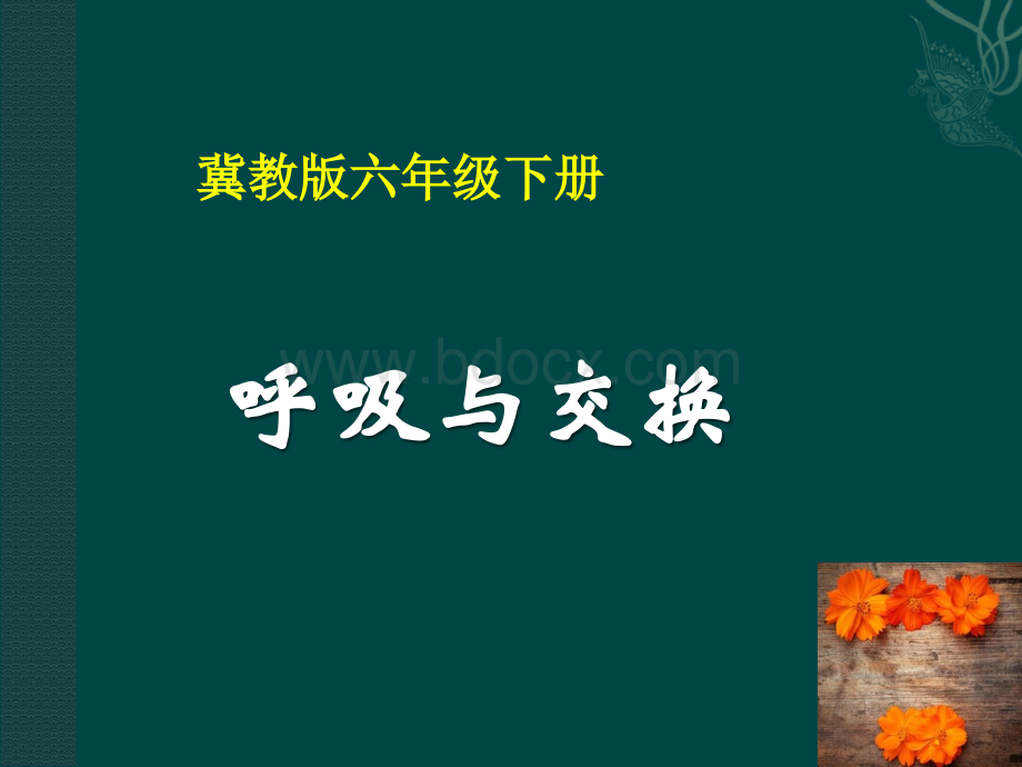 冀教版六年级科学下册呼吸与交换.ppt_第1页