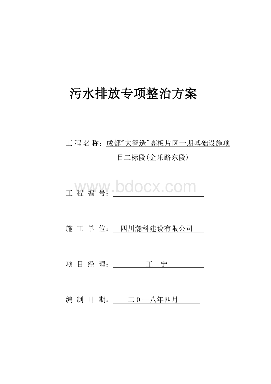 污水排放专项整治方案Word文档格式.doc