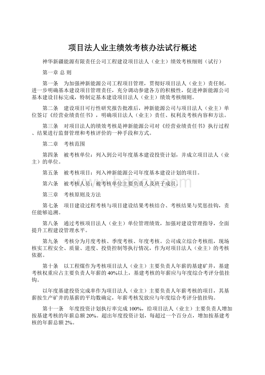 项目法人业主绩效考核办法试行概述Word文档格式.docx_第1页