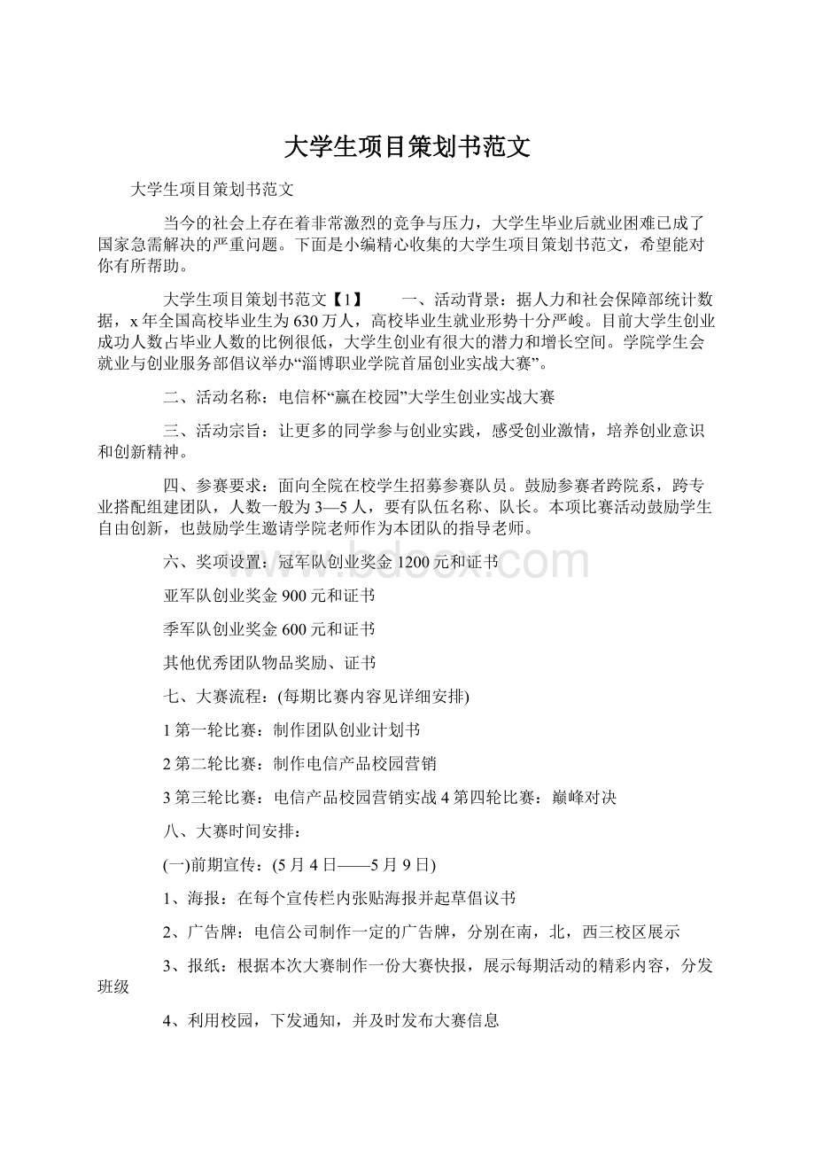 大学生项目策划书范文Word文档格式.docx