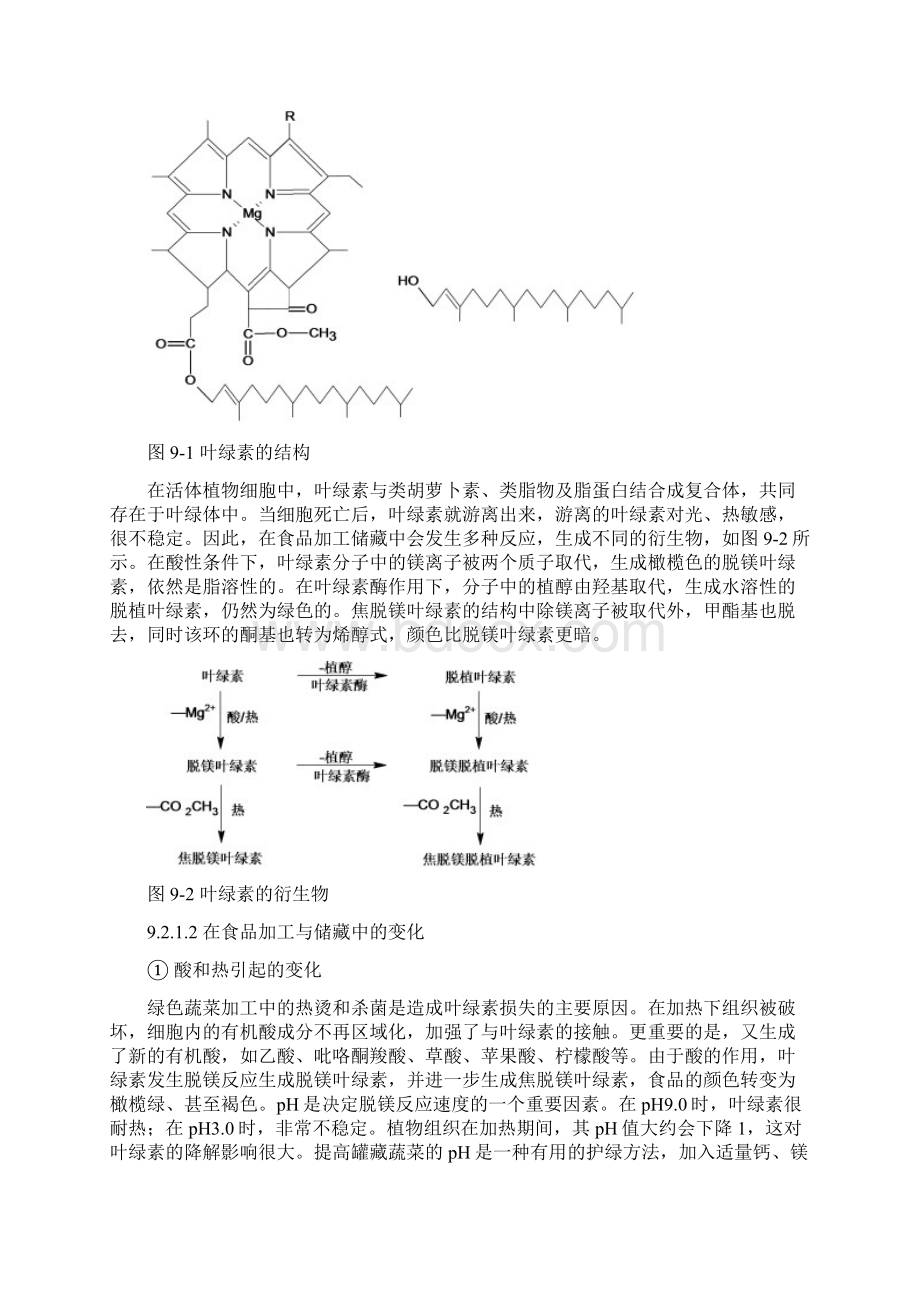 食品中的天然色素docWord文件下载.docx_第3页