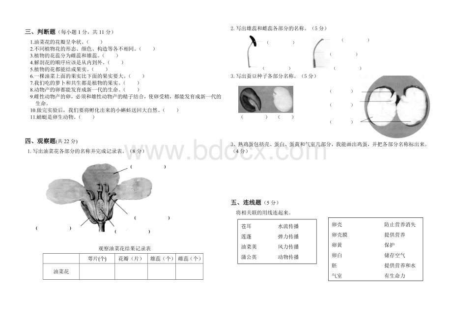 教科版科学四年级下册第二单元试卷.doc_第2页