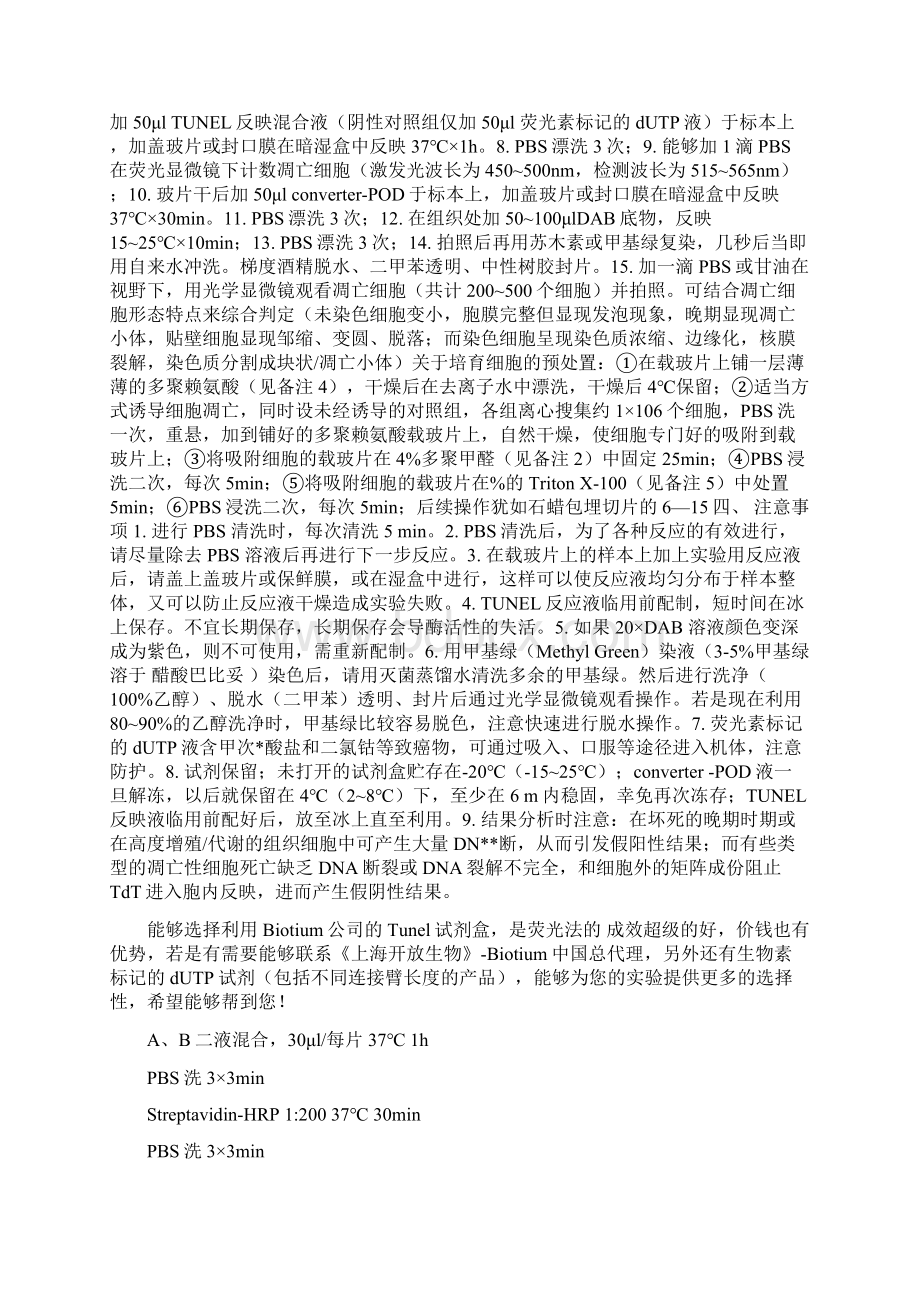 TUNEL染色Word文档格式.docx_第2页