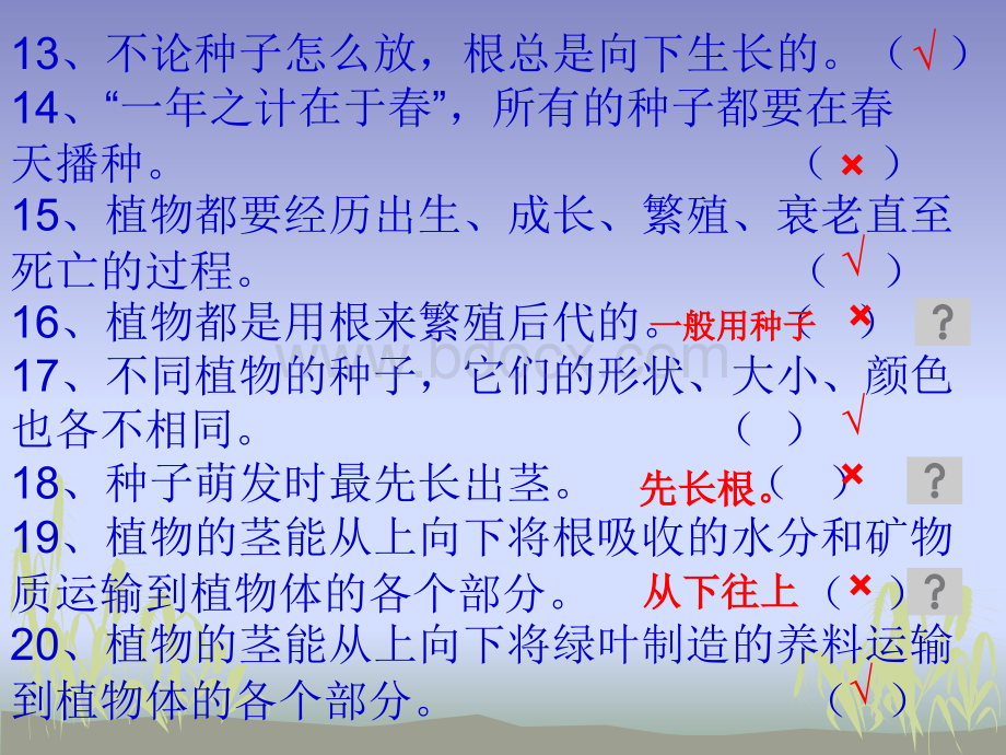 科学三下期末分类复习2判断PPT推荐.ppt_第3页