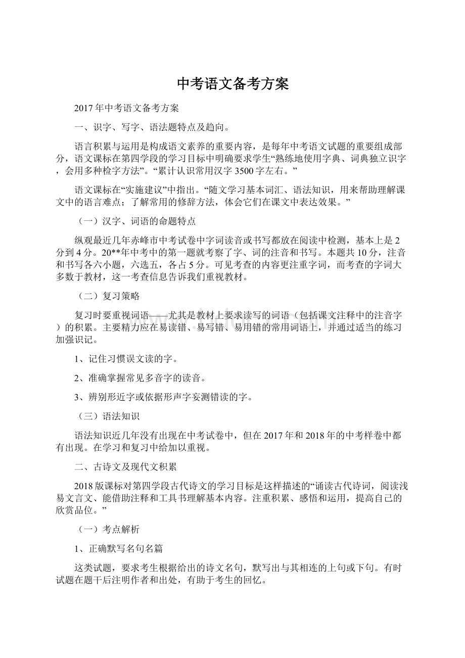 中考语文备考方案文档格式.docx