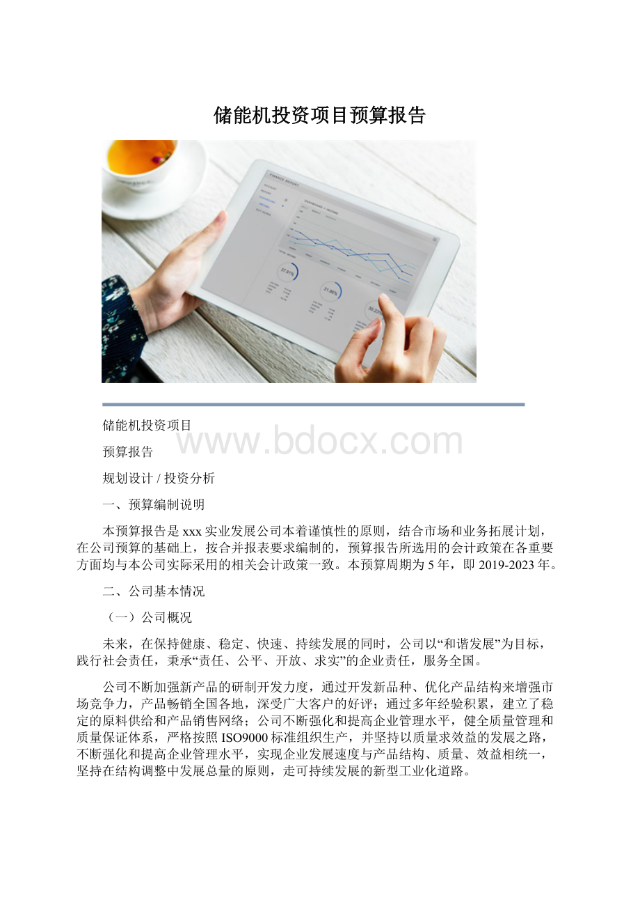 储能机投资项目预算报告文档格式.docx