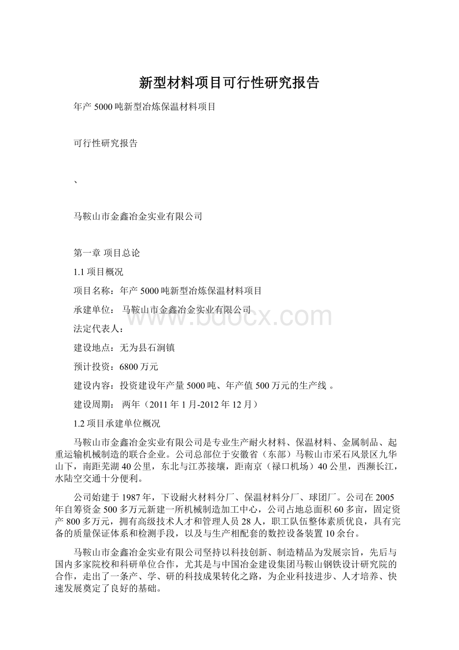 新型材料项目可行性研究报告Word格式文档下载.docx