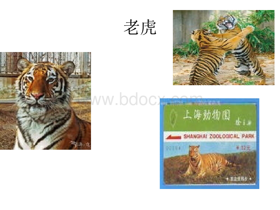 动物园(zoo)PPT资料.ppt_第2页