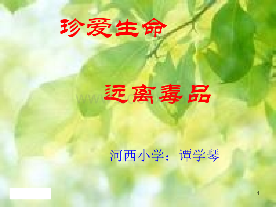 二年级禁毒教育课件.ppt