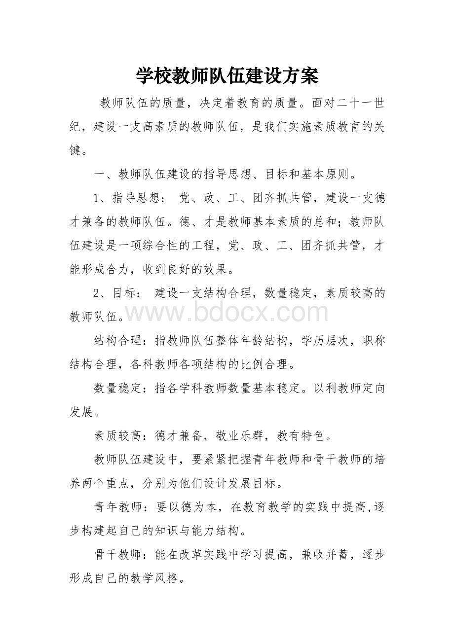 教师队伍建设方案Word文件下载.doc