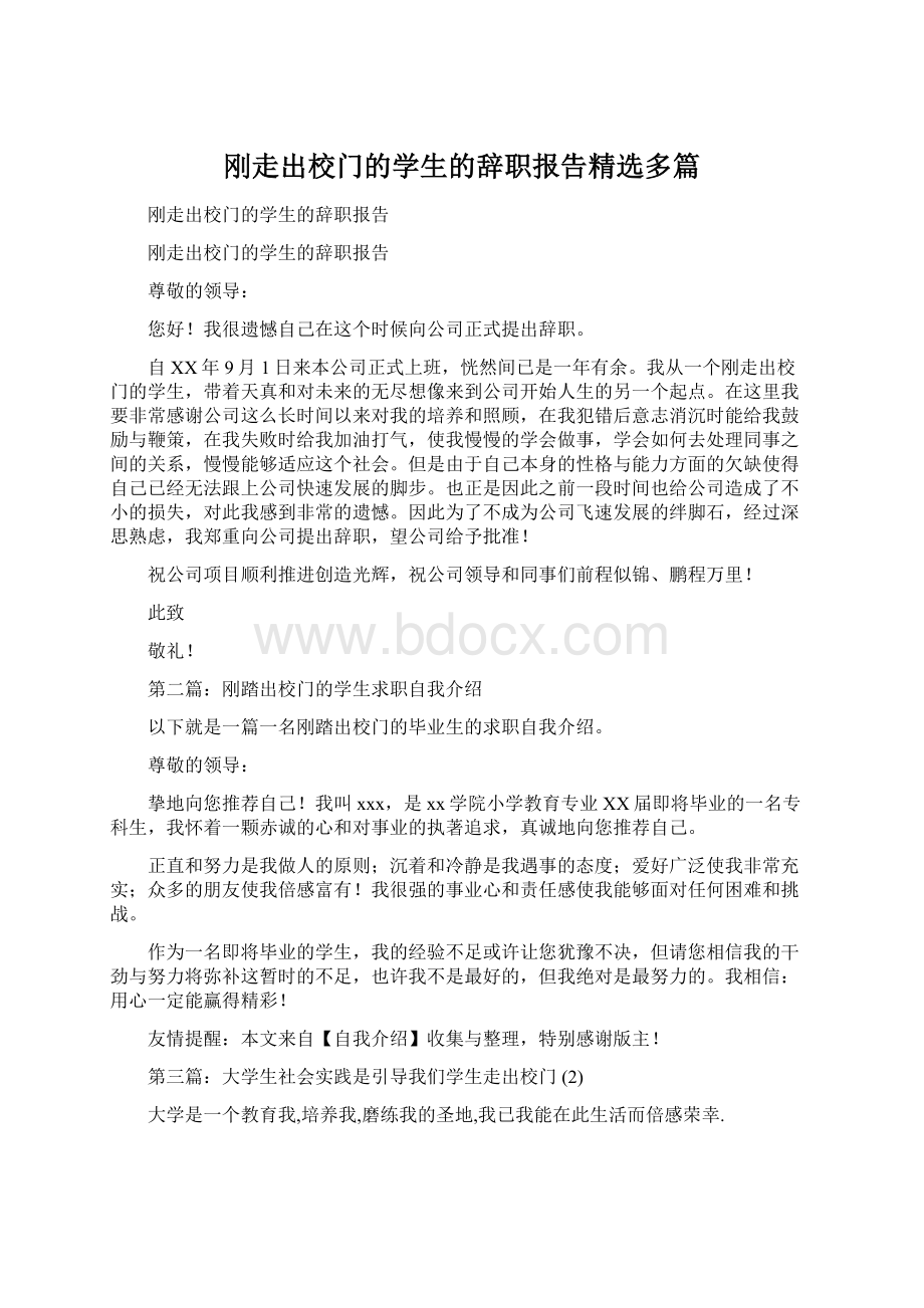 刚走出校门的学生的辞职报告精选多篇.docx_第1页