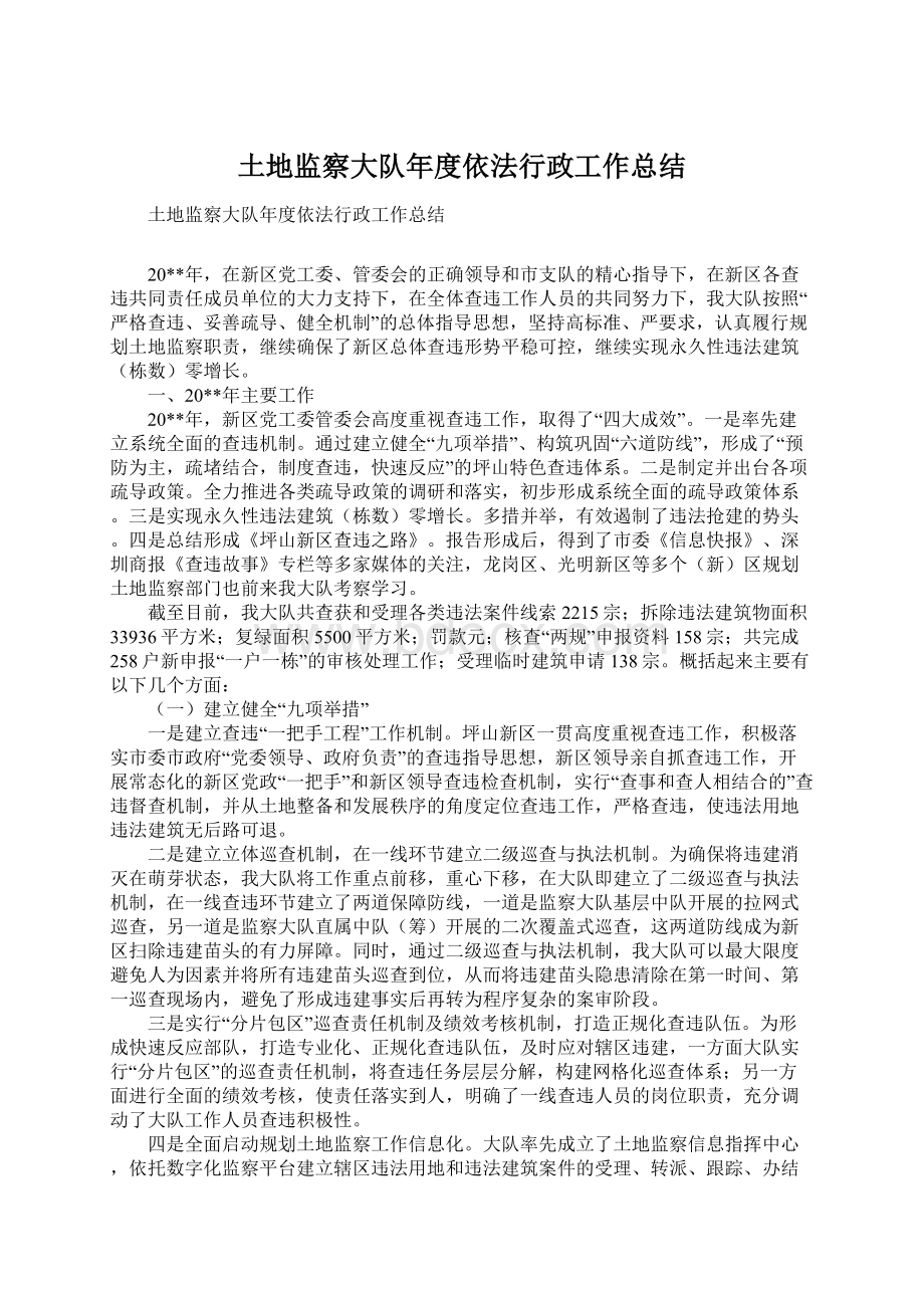 土地监察大队年度依法行政工作总结Word格式.docx