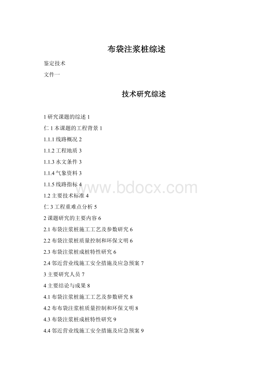 布袋注浆桩综述Word格式文档下载.docx