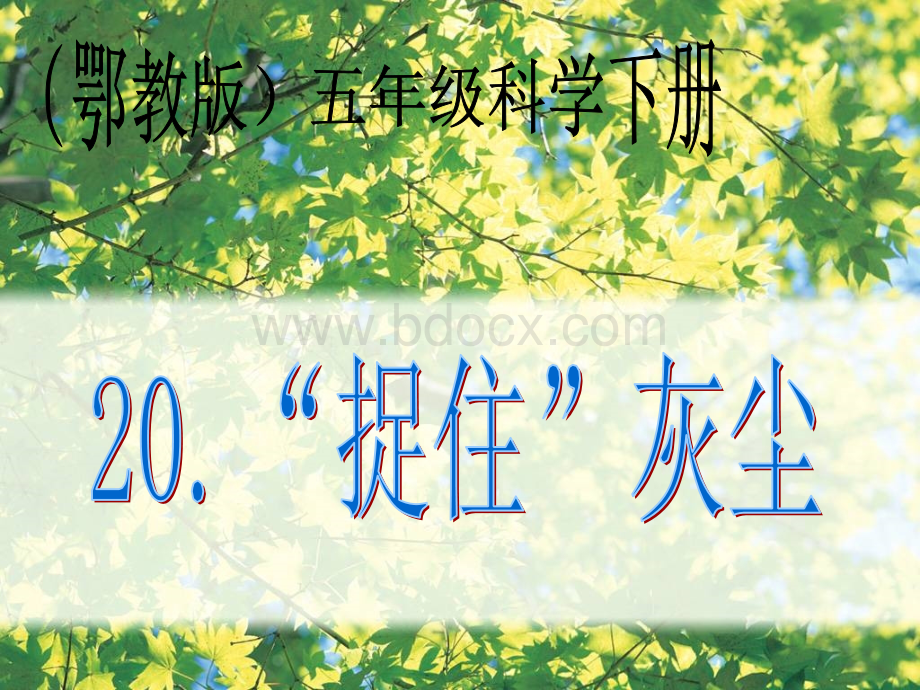 捉住灰尘.ppt_第1页