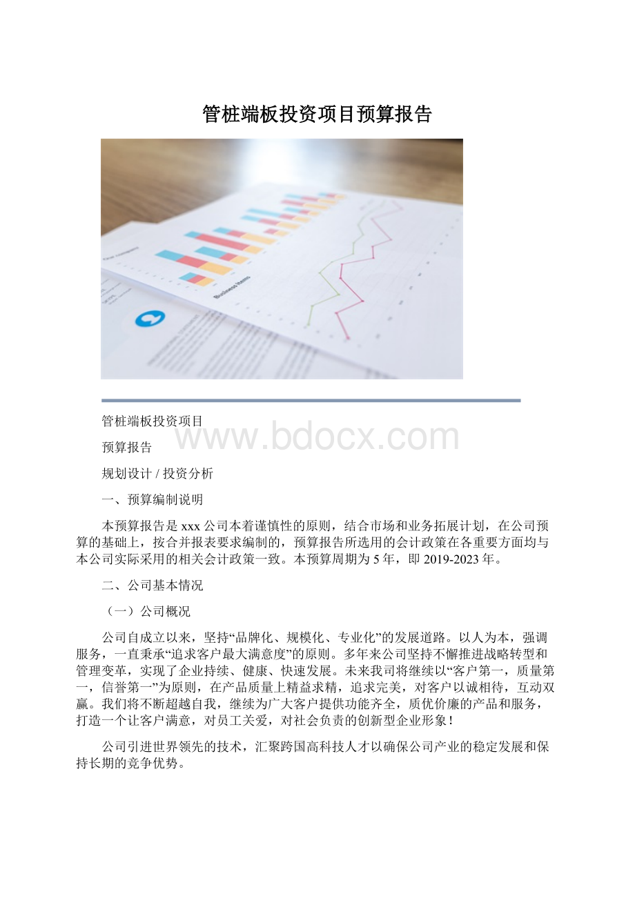 管桩端板投资项目预算报告.docx