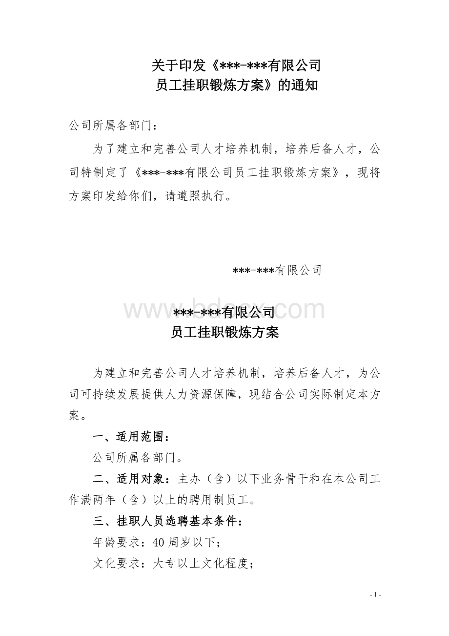 有限公司员工挂职锻炼方案Word格式文档下载.doc_第1页