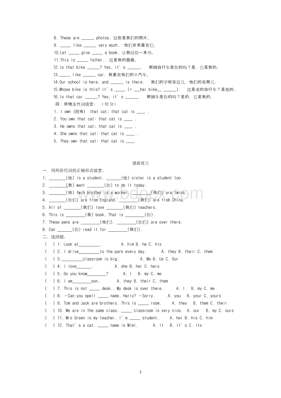 小学人称代词表格用法及练习.doc_第3页