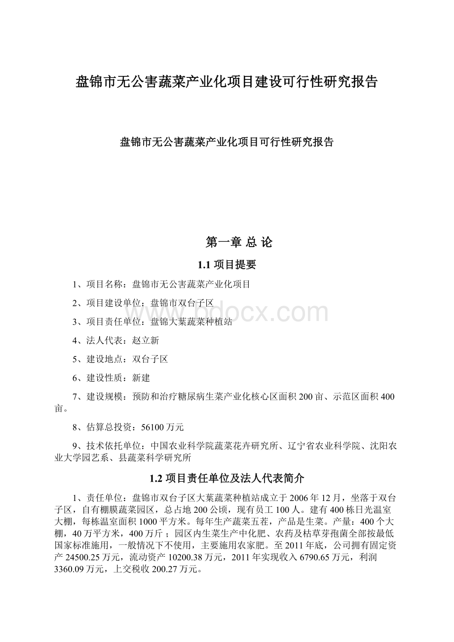 盘锦市无公害蔬菜产业化项目建设可行性研究报告Word文件下载.docx_第1页