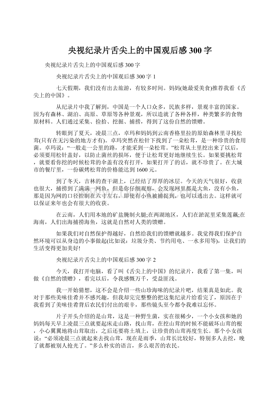 央视纪录片舌尖上的中国观后感300字.docx