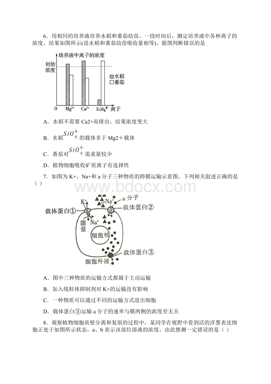 新教材高一生物必修一细胞的物质输入和输出模拟试题及答案Word文档下载推荐.docx_第3页