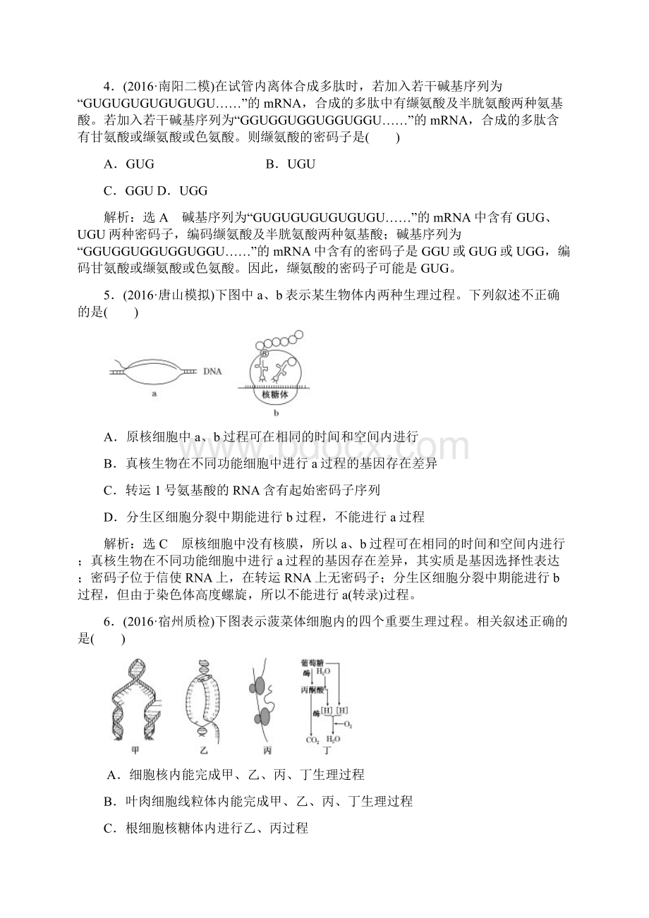 人教版基因的表达单元测试Word文档格式.docx_第2页