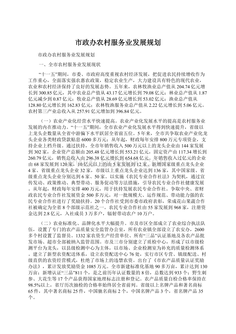 市政办农村服务业发展规划.docx